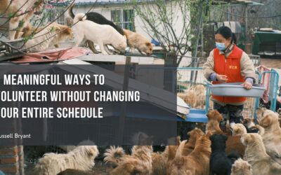 7 Meaningful Ways to Volunteer Without Changing Your Entire Schedule